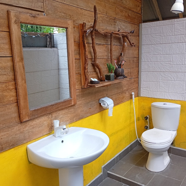 En-suite bathroom with timber walls