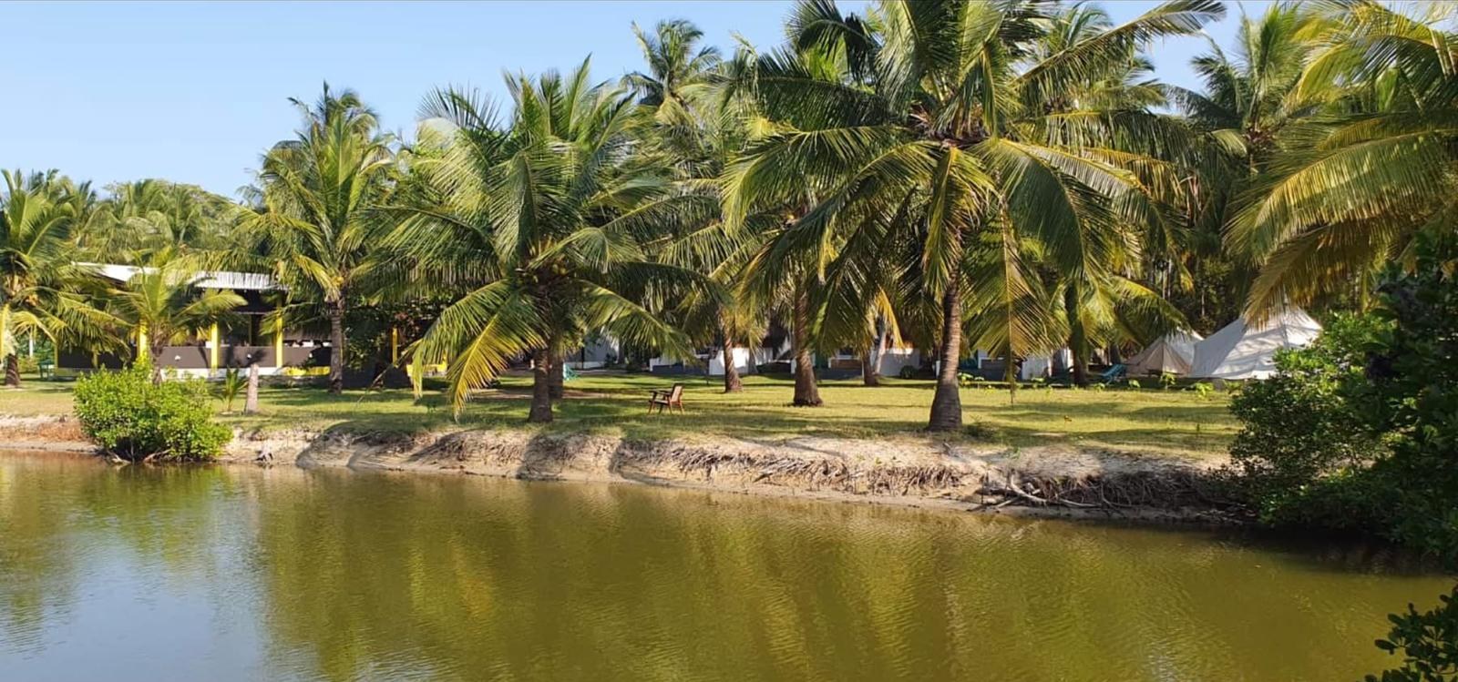 The resort seen from across the lagoon, palms leaning over the bank